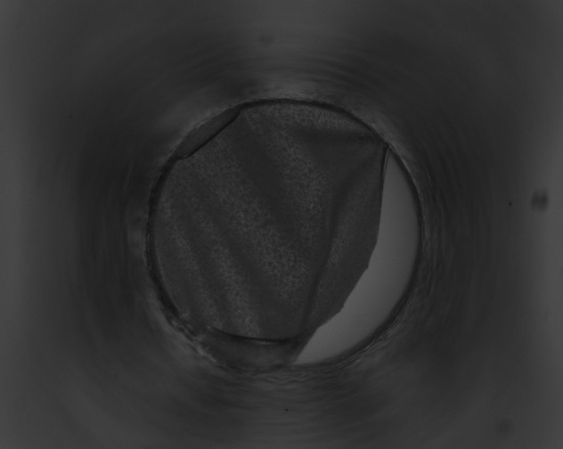 X0000091900434200710031205