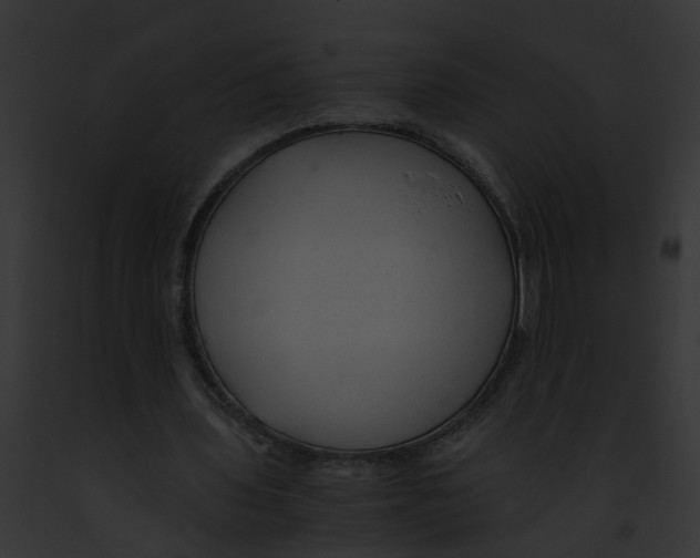 X0000091900435200710031205