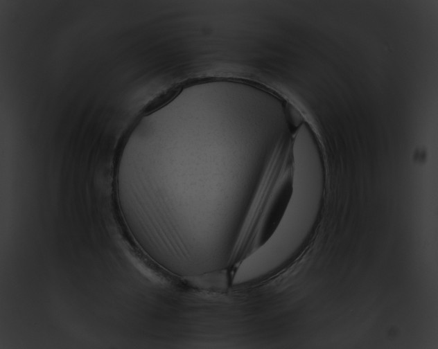 X0000091900437200710031205