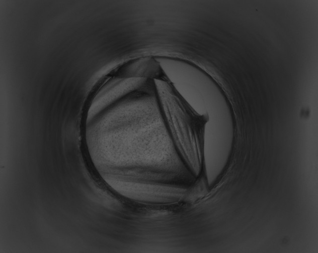 X0000091900438200710031205