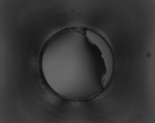 X0000091900439200710031205