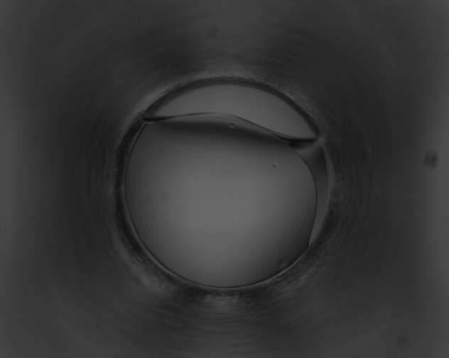 X0000091900440200710031205