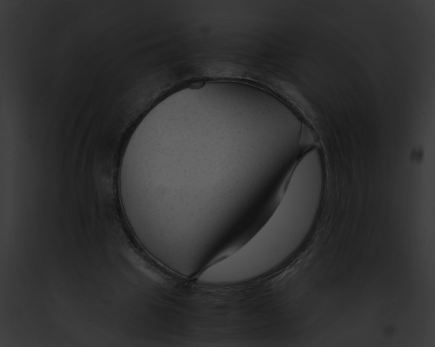 X0000091900441200710031205