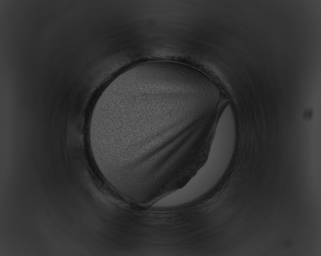 X0000091900443200710031205