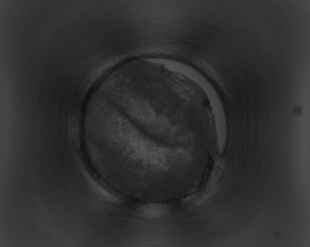 X0000091900444200710031205