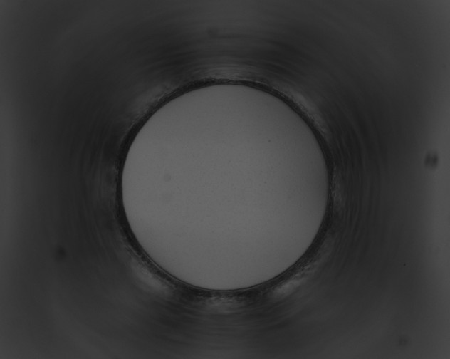 X0000091900445200710031205