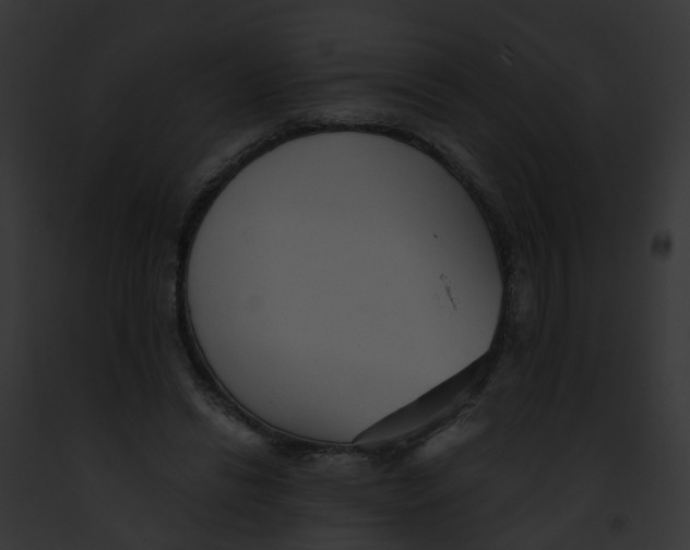 X0000091900446200710031205