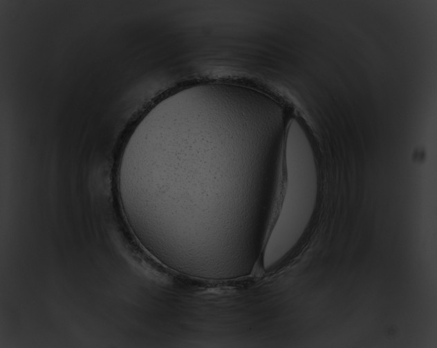 X0000091900447200710031205