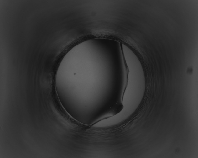 X0000091900448200710031205