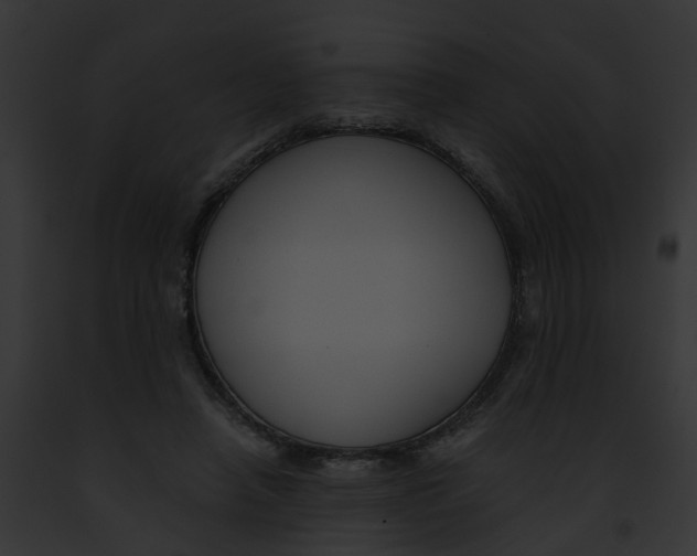 X0000091900450200710031206