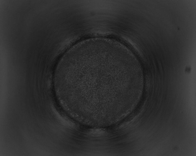 X0000091900451200710031206