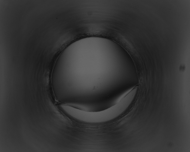 X0000091900454200710031206