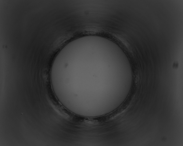 X0000091900455200710031206