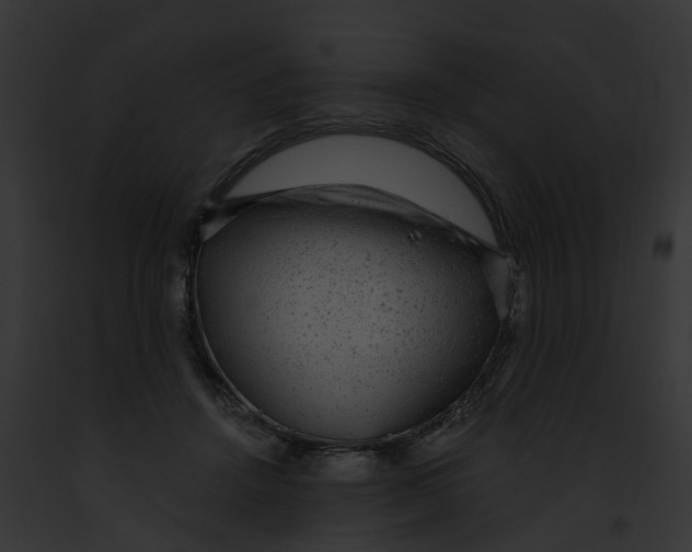 X0000091900456200710031206