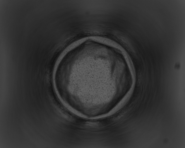 X0000091900457200710031206