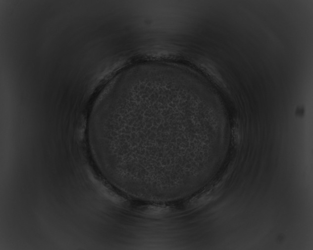 X0000091900458200710031206