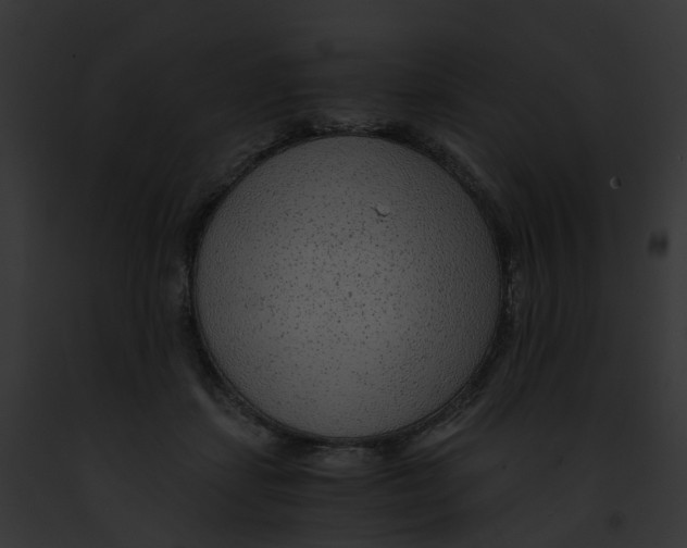 X0000091900459200710031206