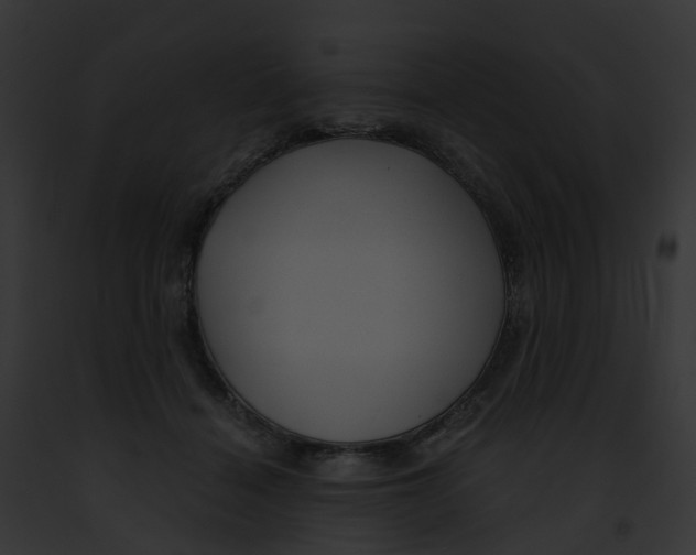 X0000091900460200710031206