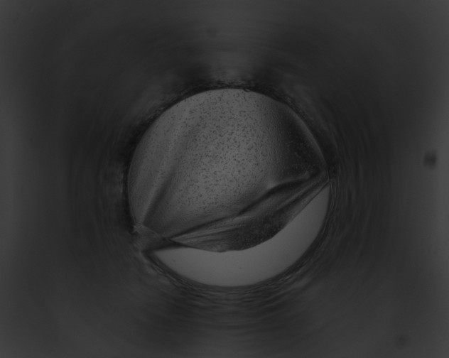 X0000091900466200710031206