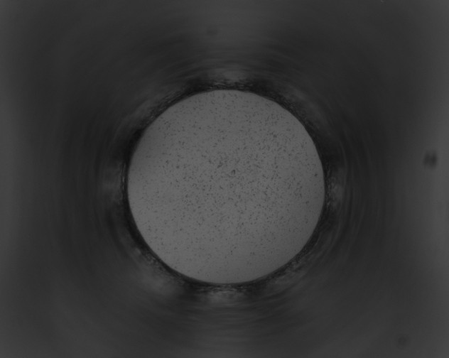 X0000091900468200710031206