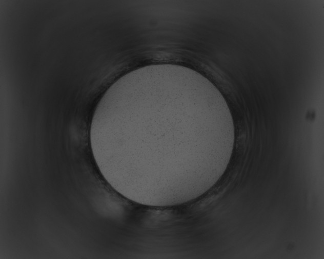 X0000091900469200710031206