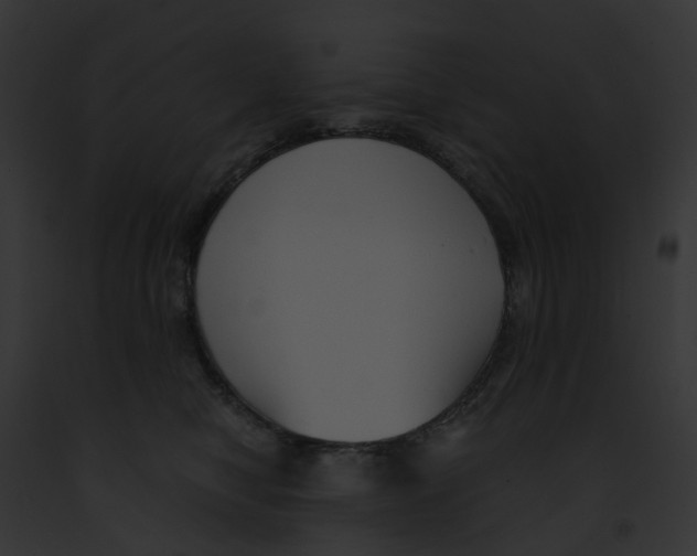 X0000091900470200710031206