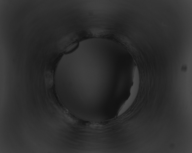 X0000091900471200710031206