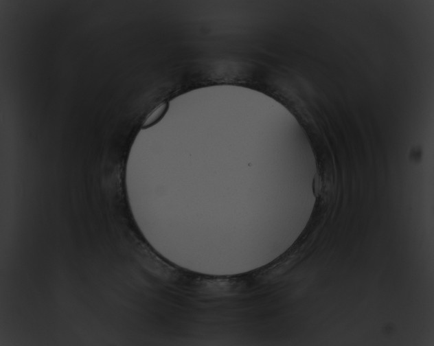 X0000091900473200710031206