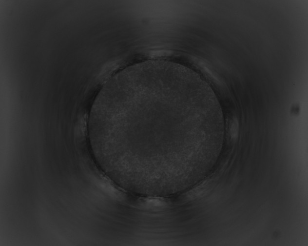 X0000091900475200710031206