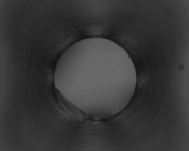 X0000091900476200710031206