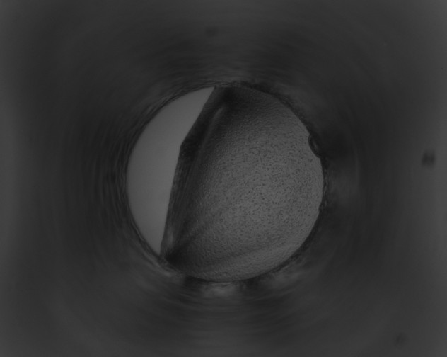 X0000091900479200710031206