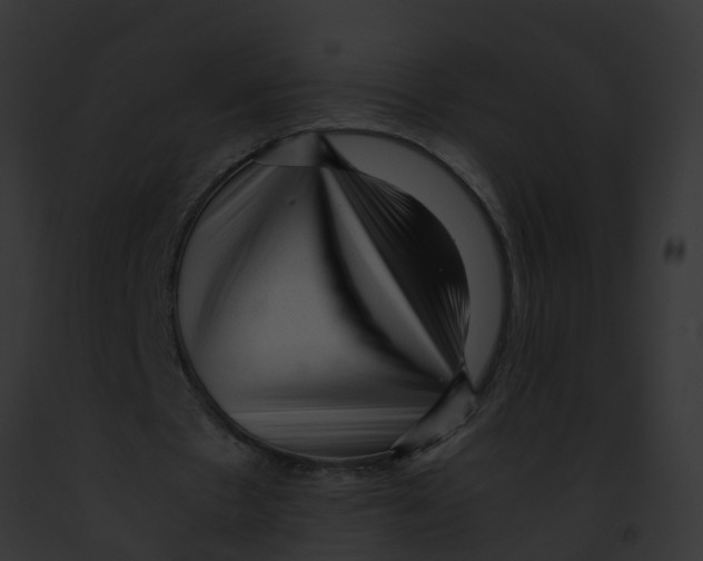 X0000091900481200710031205