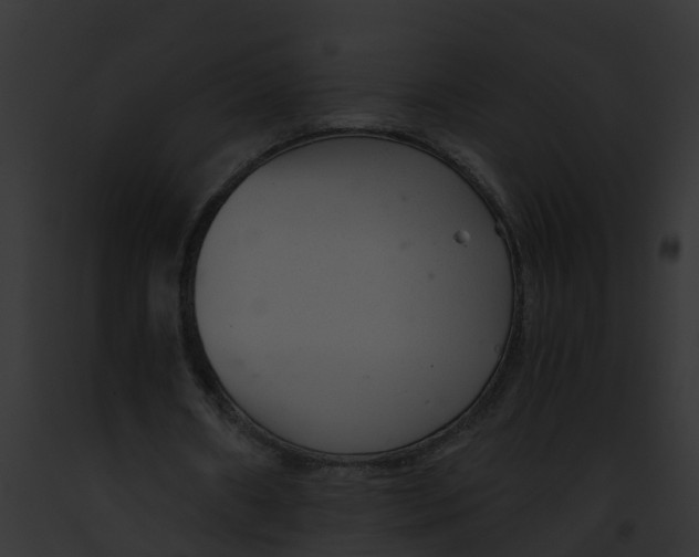 X0000091900482200710031205