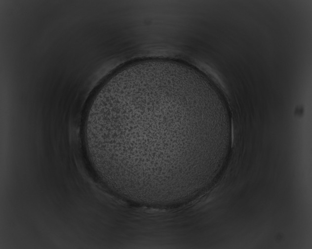 X0000091900483200710031205