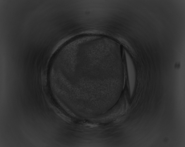 X0000091900484200710031205