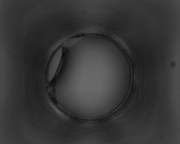 X0000091900485200710031205