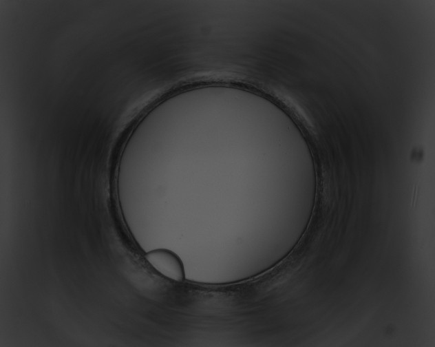 X0000091900486200710031205