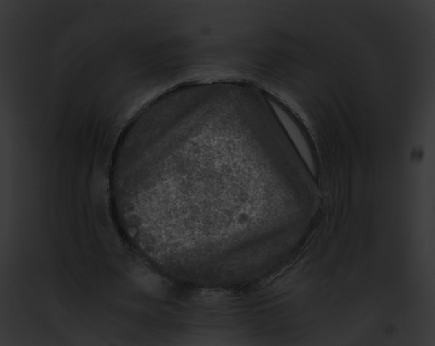 X0000091900487200710031205