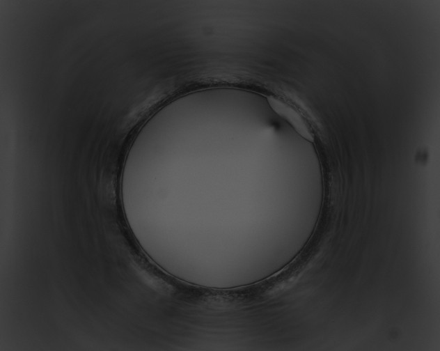 X0000091900489200710031205