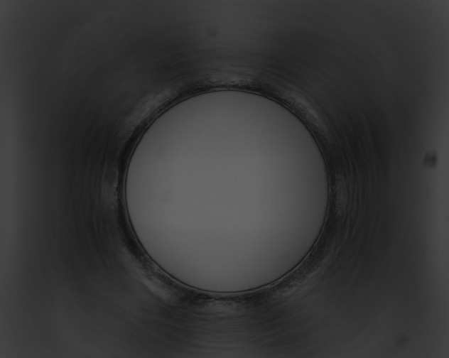 X0000091900490200710031205