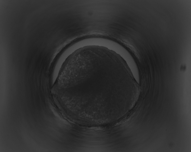 X0000091900492200710031205