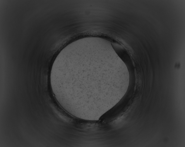 X0000091900493200710031205