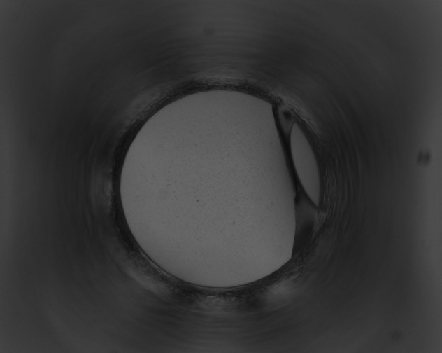 X0000091900494200710031205