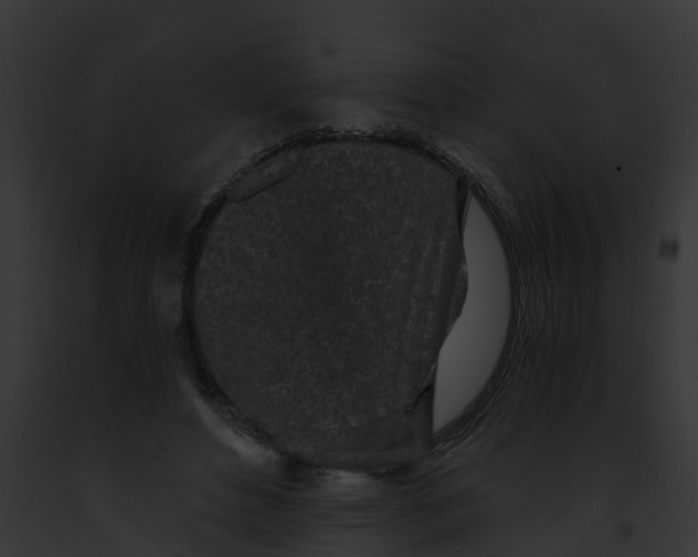 X0000091900496200710031205