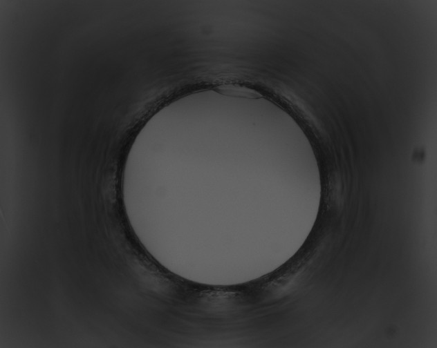 X0000091900497200710031205