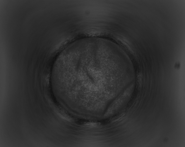 X0000091900499200710031205