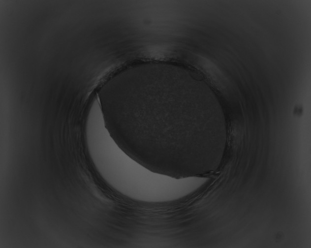 X0000091900500200710031205