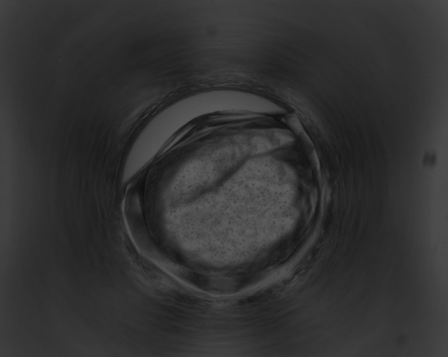 X0000091900501200710031205