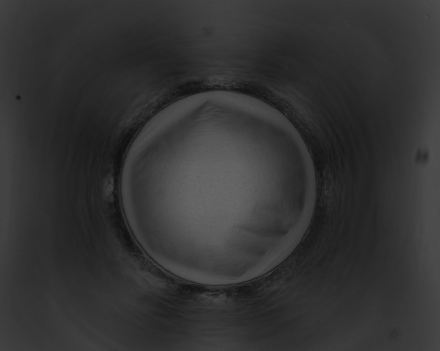 X0000091900502200710031205