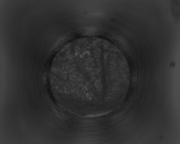 X0000091900503200710031205